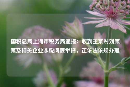 国税总局上海市税务局通报：收到王某对刘某某及相关企业涉税问题举报，正依法依规办理  第1张