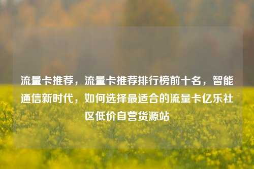 流量卡推荐，流量卡推荐排行榜前十名，智能通信新时代，如何选择最适合的流量卡亿乐社区低价自营货源站  第1张