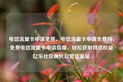 电信流量卡申请免费，电信流量卡申请免费吗	，免费电信流量卡申请指南，轻松获取网络权益亿乐社区低价自营货源站  第1张