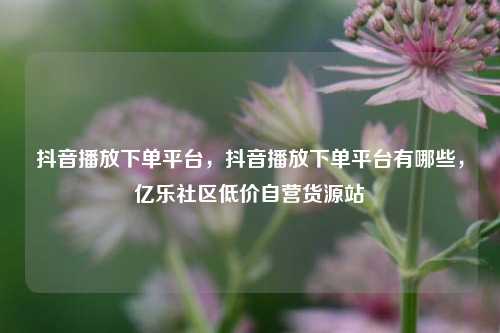抖音播放下单平台，抖音播放下单平台有哪些，亿乐社区低价自营货源站  第1张