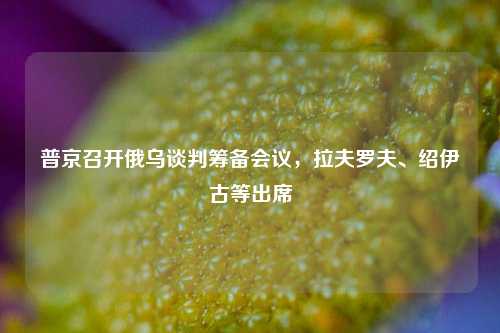 普京召开俄乌谈判筹备会议	，拉夫罗夫、绍伊古等出席  第1张