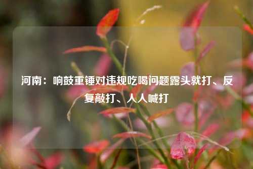河南：响鼓重锤对违规吃喝问题露头就打	、反复敲打、人人喊打  第1张