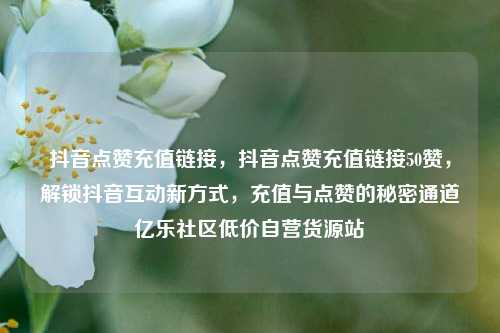 抖音点赞充值链接，抖音点赞充值链接50赞，解锁抖音互动新方式	，充值与点赞的秘密通道亿乐社区低价自营货源站  第1张