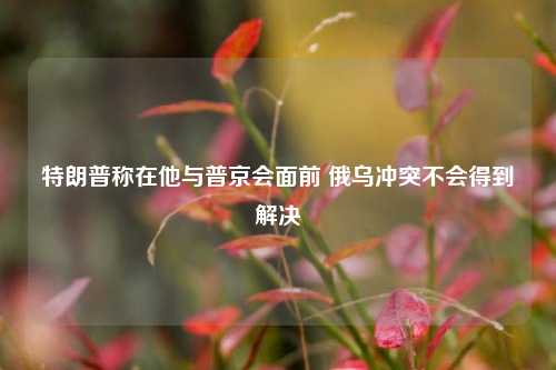 特朗普称在他与普京会面前 俄乌冲突不会得到解决  第1张 特朗普称在他与普京会面前 俄乌冲突不会得到解决  第1张