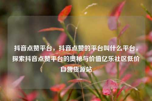 抖音点赞平台，抖音点赞的平台叫什么平台	，探索抖音点赞平台的奥秘与价值亿乐社区低价自营货源站  第1张