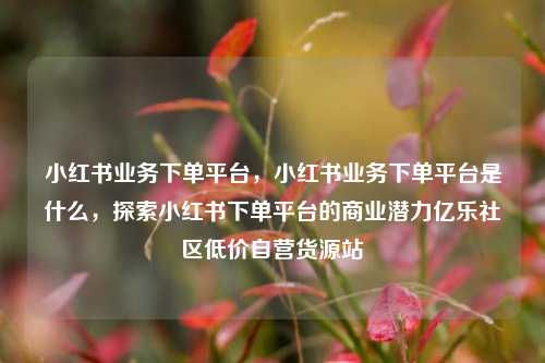 小红书业务下单平台，小红书业务下单平台是什么	，探索小红书下单平台的商业潜力亿乐社区低价自营货源站  第1张