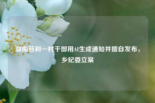 湖南慈利一村干部用AI生成通知并擅自发布，乡纪委立案  第1张