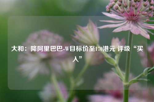 大和：降阿里巴巴-W目标价至170港元 评级“买入”  第1张