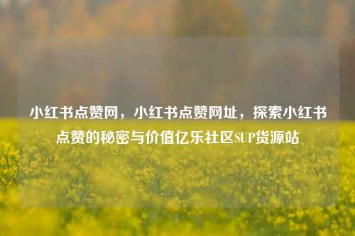 小红书点赞网	，小红书点赞网址，探索小红书点赞的秘密与价值亿乐社区SUP货源站  第1张