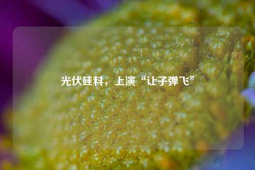 光伏硅料，上演“让子弹飞”  第1张