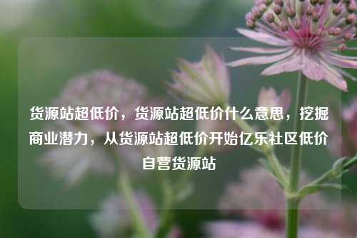 货源站超低价，货源站超低价什么意思	，挖掘商业潜力，从货源站超低价开始亿乐社区低价自营货源站  第1张