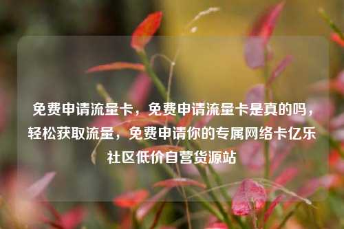 免费申请流量卡，免费申请流量卡是真的吗，轻松获取流量	，免费申请你的专属网络卡亿乐社区低价自营货源站  第1张