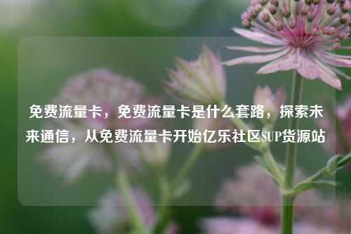 免费流量卡	，免费流量卡是什么套路，探索未来通信，从免费流量卡开始亿乐社区SUP货源站  第1张