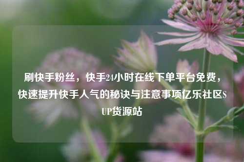刷快手粉丝，快手24小时在线下单平台免费，快速提升快手人气的秘诀与注意事项亿乐社区SUP货源站  第1张