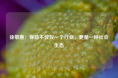 徐敬惠：保险不仅仅一个行业，更是一种社会生态  第1张