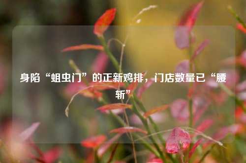 身陷“蛆虫门”的正新鸡排，门店数量已“腰斩	”  第1张