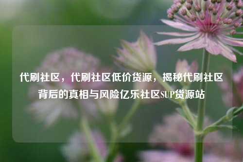 代刷社区，代刷社区低价货源，揭秘代刷社区背后的真相与风险亿乐社区SUP货源站  第1张