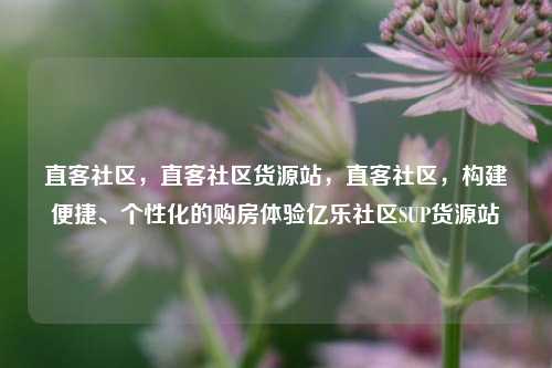 直客社区，直客社区货源站	，直客社区，构建便捷、个性化的购房体验亿乐社区SUP货源站  第1张