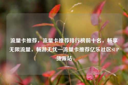 流量卡推荐，流量卡推荐排行榜前十名	，畅享无限流量，畅游无忧—流量卡推荐亿乐社区SUP货源站  第1张