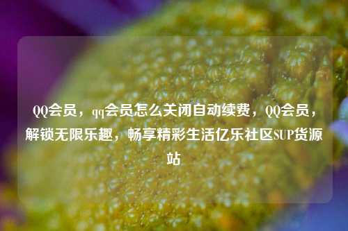 QQ会员，qq会员怎么关闭自动续费，QQ会员	，解锁无限乐趣，畅享精彩生活亿乐社区SUP货源站  第1张