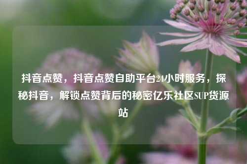 抖音点赞，抖音点赞自助平台24小时服务，探秘抖音，解锁点赞背后的秘密亿乐社区SUP货源站  第1张