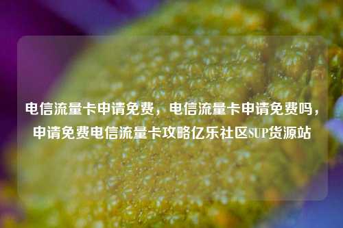 电信流量卡申请免费，电信流量卡申请免费吗，申请免费电信流量卡攻略亿乐社区SUP货源站  第1张
