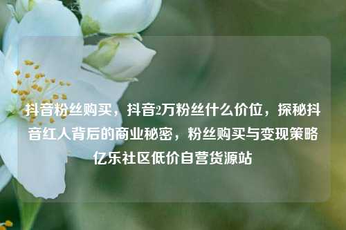 抖音粉丝购买	，抖音2万粉丝什么价位，探秘抖音红人背后的商业秘密，粉丝购买与变现策略亿乐社区低价自营货源站  第1张