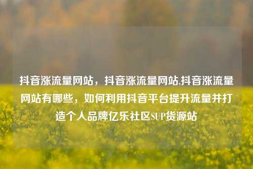 抖音涨流量网站，抖音涨流量网站,抖音涨流量网站有哪些，如何利用抖音平台提升流量并打造个人品牌亿乐社区SUP货源站  第1张
