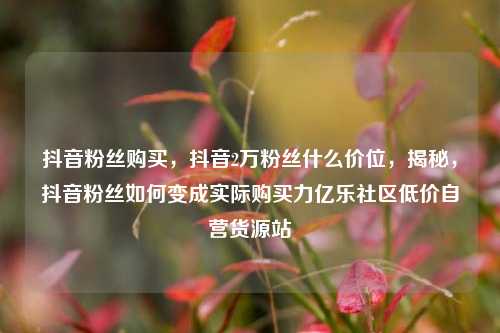 抖音粉丝购买，抖音2万粉丝什么价位	，揭秘，抖音粉丝如何变成实际购买力亿乐社区低价自营货源站  第1张