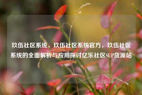 玖伍社区系统，玖伍社区系统官方	，玖伍社区系统的全面解析与应用探讨亿乐社区SUP货源站  第1张