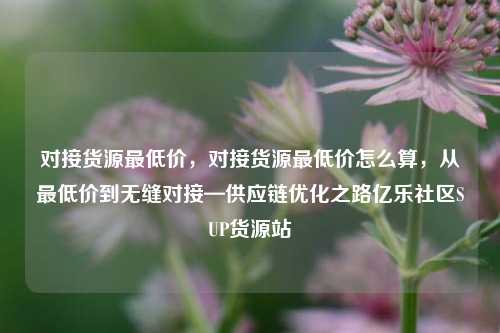 对接货源最低价，对接货源最低价怎么算	，从最低价到无缝对接—供应链优化之路亿乐社区SUP货源站  第1张